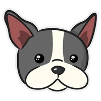 DagsHub's profile picture