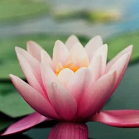 U&I Lab. (Share)'s profile picture