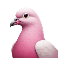 Carolina Camassa's profile picture