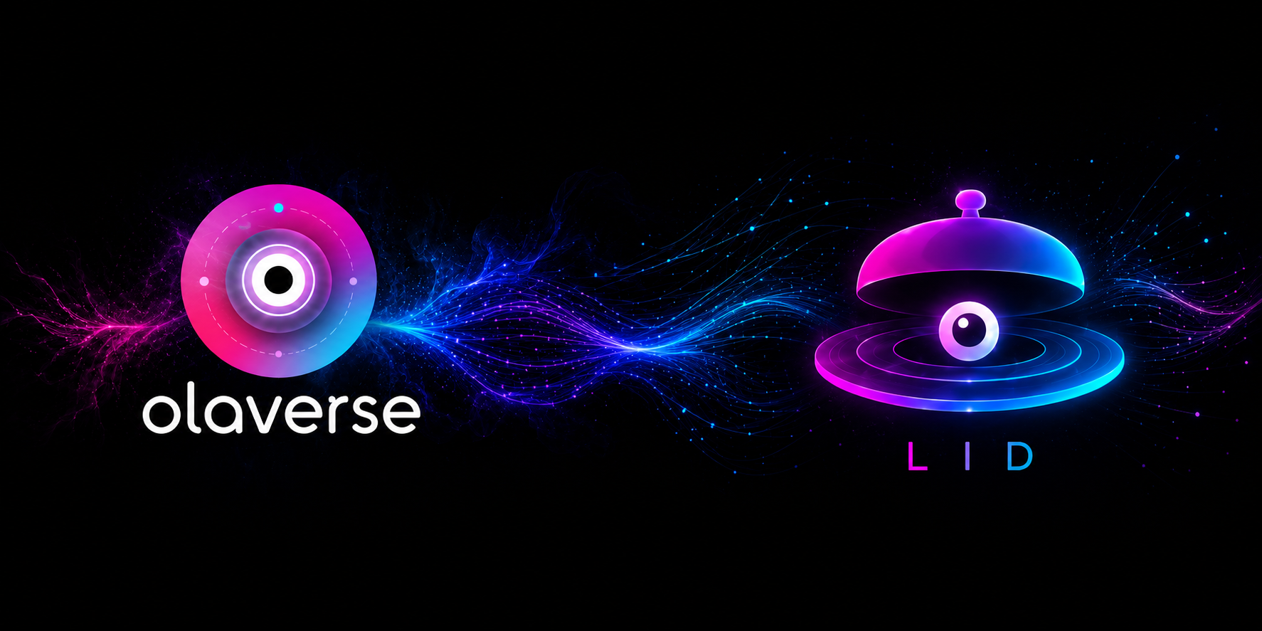 lid banner